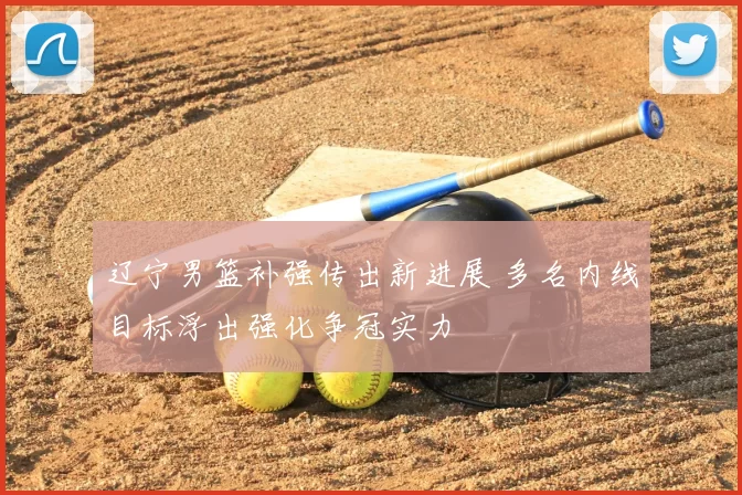 辽宁男篮补强传出新进展 多名内线目标浮出强化争冠实力