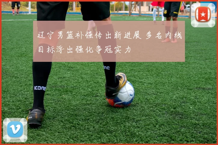 辽宁男篮补强传出新进展 多名内线目标浮出强化争冠实力