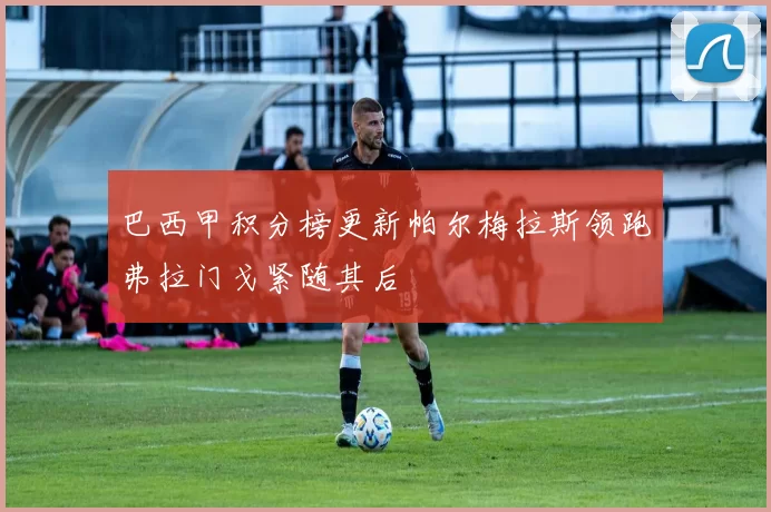 巴西甲积分榜更新帕尔梅拉斯领跑弗拉门戈紧随其后