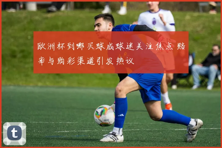 欧洲杯到哪买球成球迷关注焦点 赔率与购彩渠道引发热议